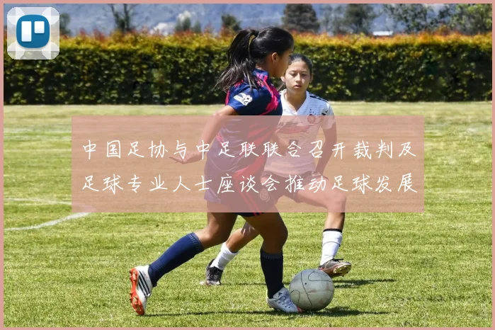 中国足协与中足联联合召开裁判及足球专业人士座谈会推动足球发展新举措